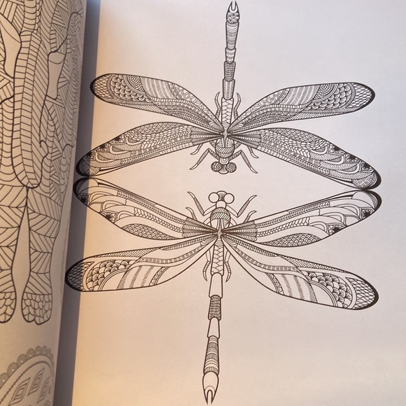 Colouring Book. “Positively Zen” - Picture 5 of 6